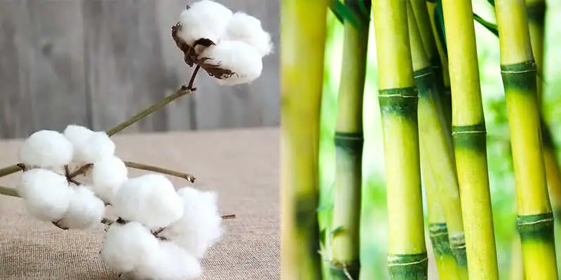 Is bamboo more eco-friendly than cotton?