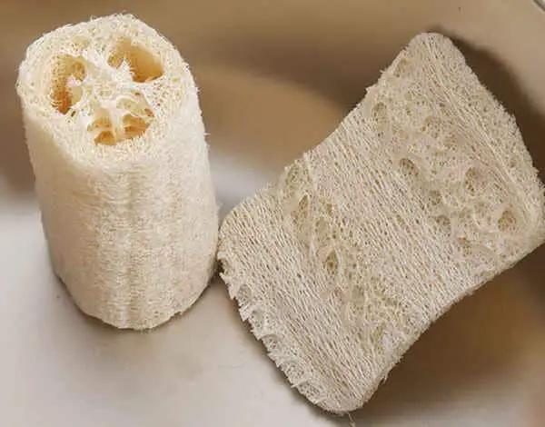 Loofah-Dishwashing-Sponge