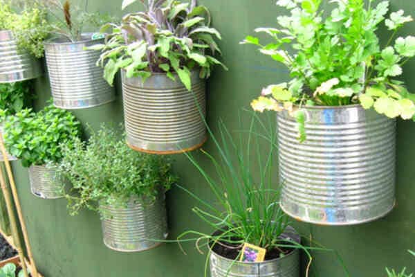 Image-Of-Home-Garden-For-Zero-Waste-Cooking