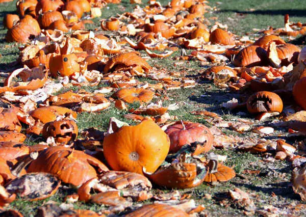 Best-Eco-Friendly-Halloween-Ideas-Skip-Carving-Pumpkins