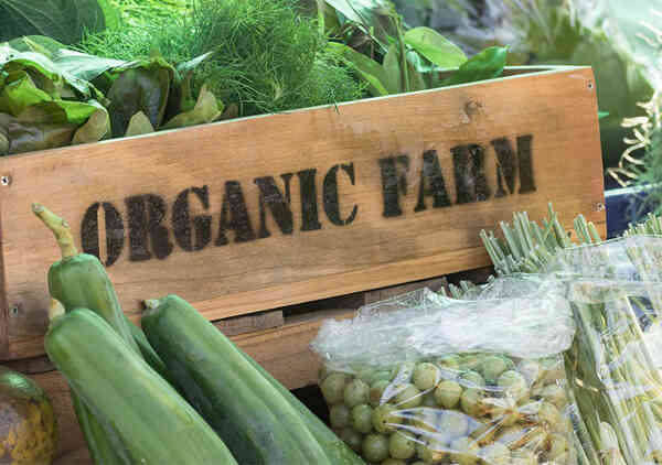 How-To-Switch-To-Organic-Food