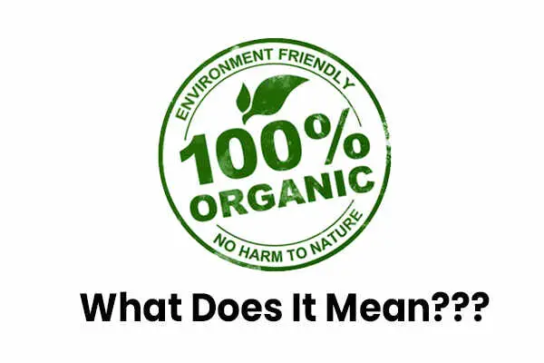 Is-Organic-Food-Better-For-The-Environment