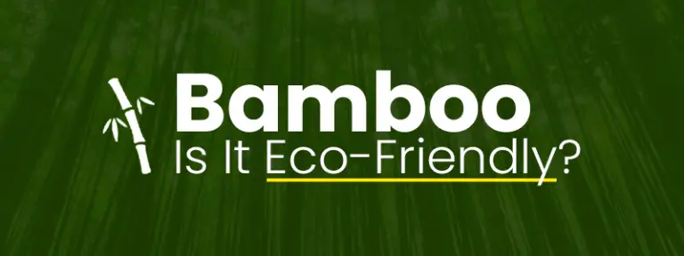 12 Reasons why Bamboo Is Eco-Friendly