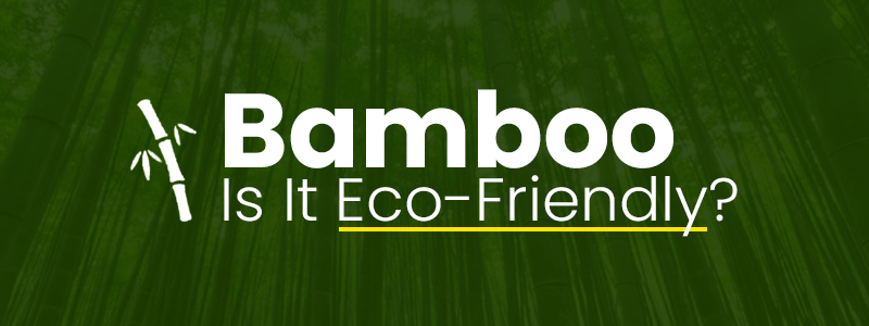 Is Bamboo eco friendly