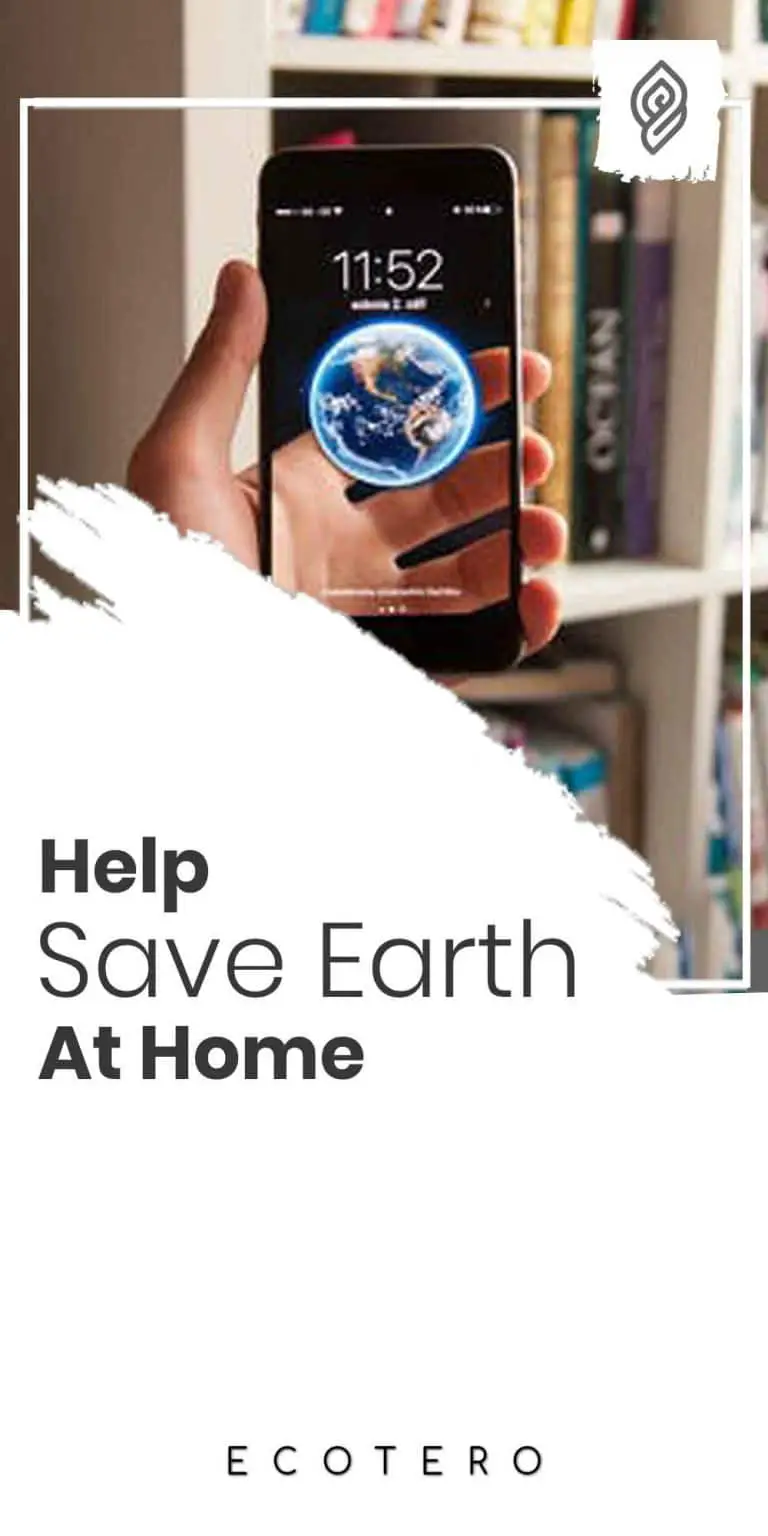 How to Help Save Earth from Home – A Beginner’s Guide