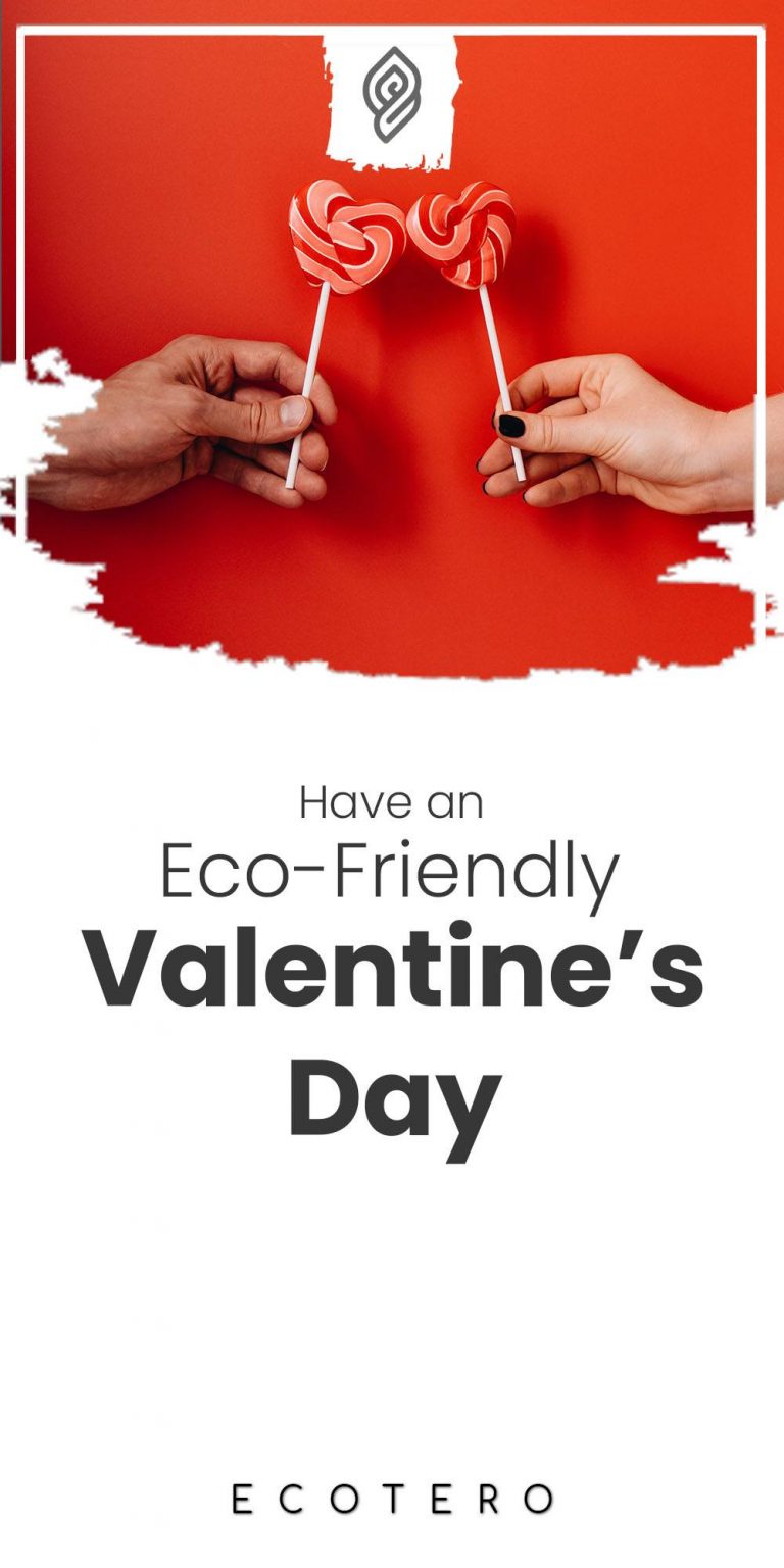 12 Eco-Friendly Valentine’s Day Tips For A Sustainable Day Of Hearts