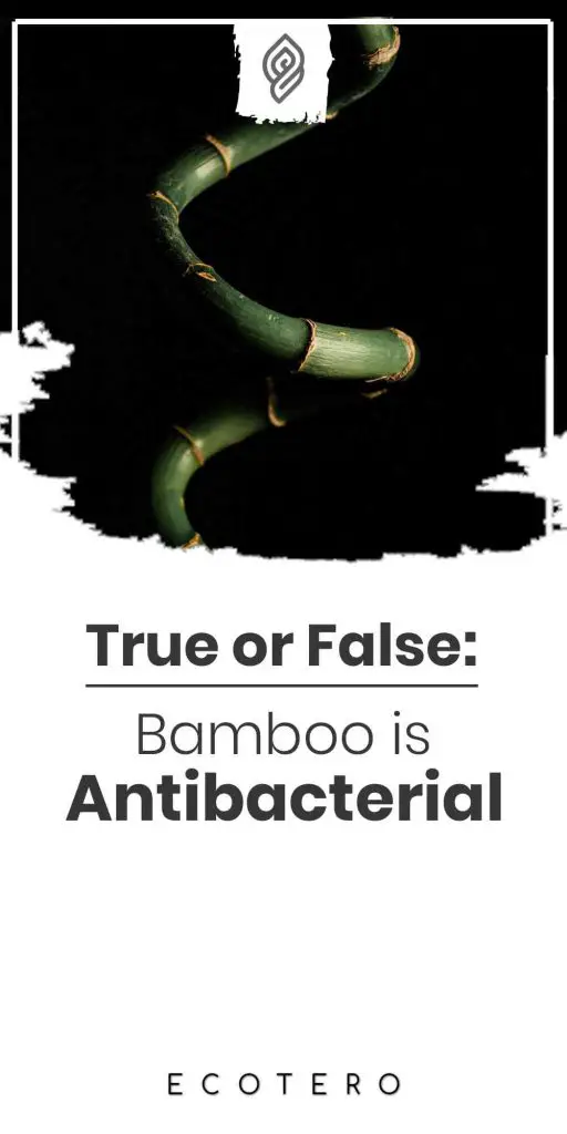 Is-Bamboo-Antibacterial-and-Antifungal