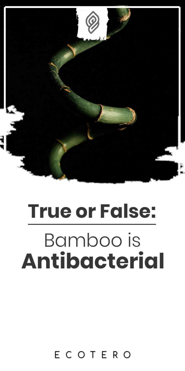 Is Bamboo Antibacterial: The Truth About Bamboo Kun