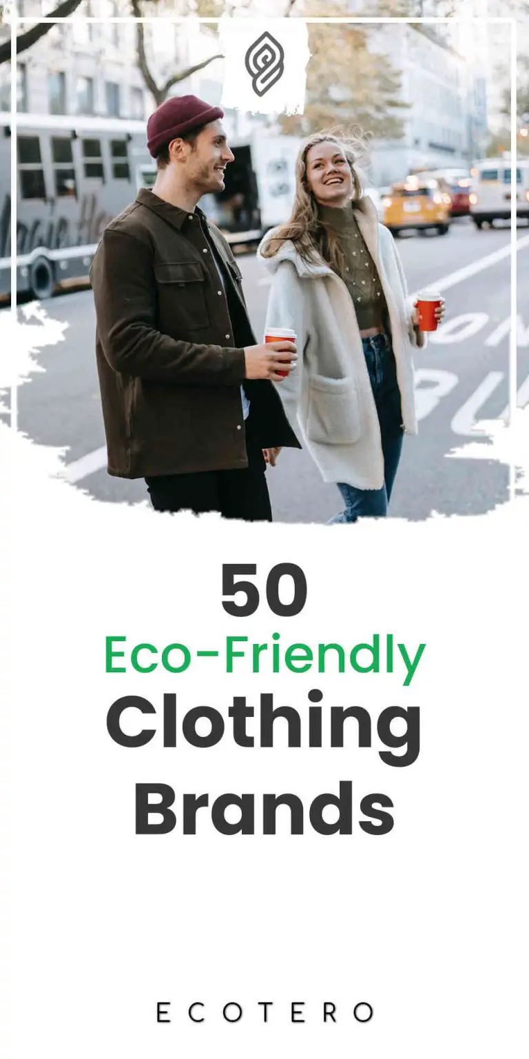 50 Eco-Friendly Clothing Brands: Complete Guide To Sustainable Fashion