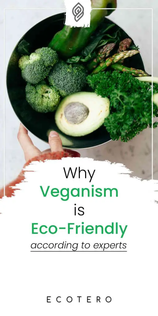 Why-Is-Veganism-Good-For-Environment
