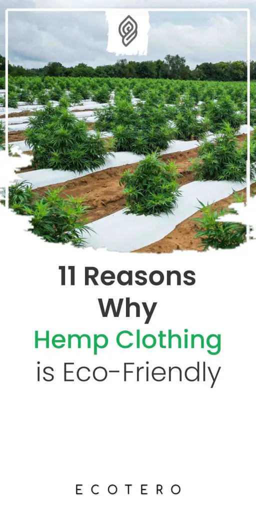 Is-Hemp-Clothing-Eco-Friendly
