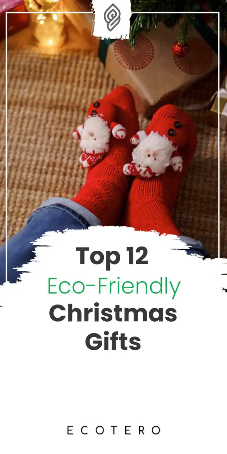 12 Best Eco-Friendly Christmas Gifts Ideas For The 12 Days Of Xmas