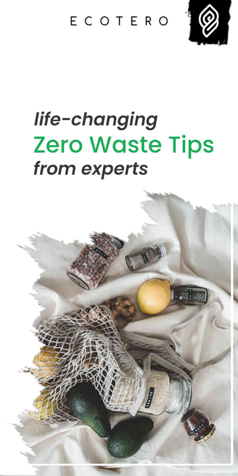 Best Zero Waste Living Tips for Beginners