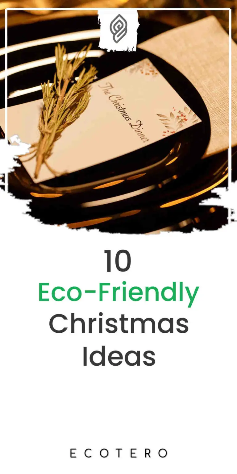 10 Ways To Celebrate Eco-Friendly Christmas Days