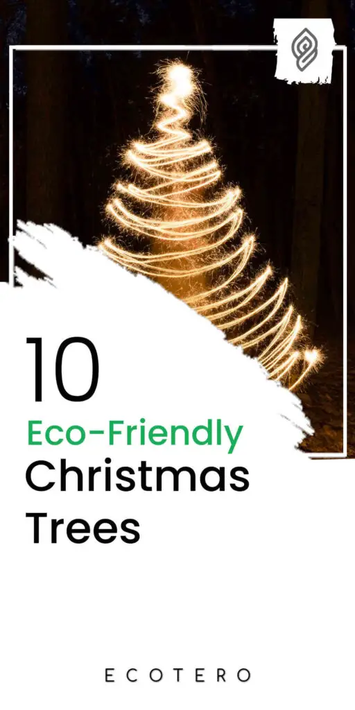 Best-Eco-Friendly-Christmas-Trees
