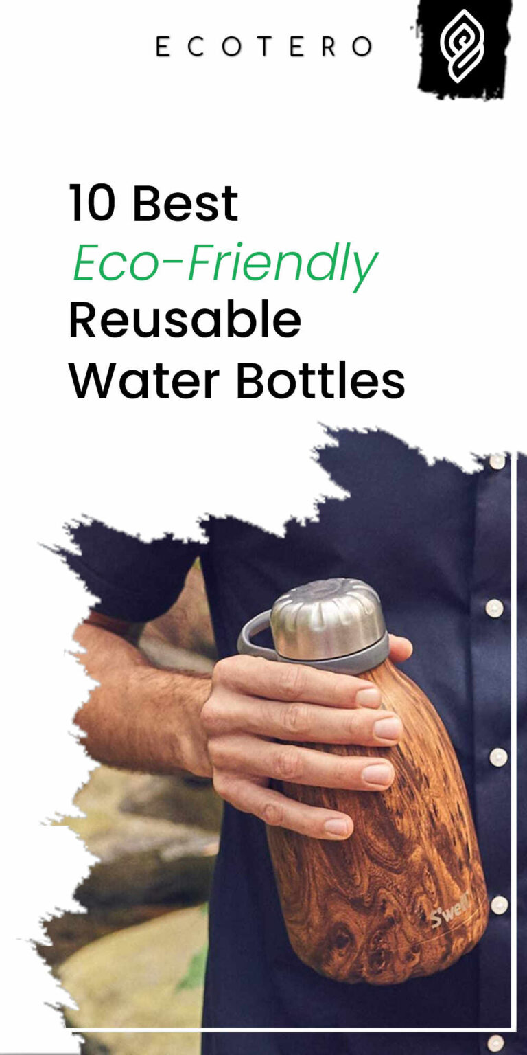 10 Most Eco-Friendly Water Bottles: Safe, Durable, Sustainable