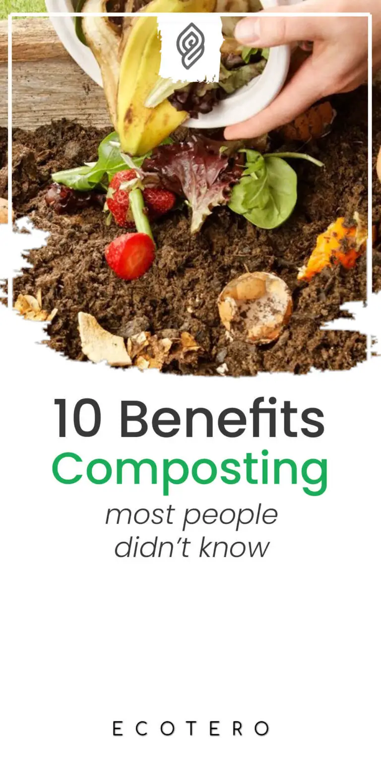 Top 10 Benefits of Composting for Humans & Environment