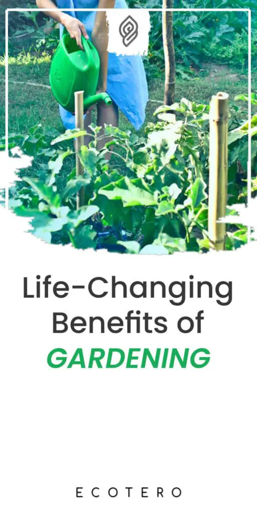 Benefits-Of-Home-Gardening-For-Health-And-Environment