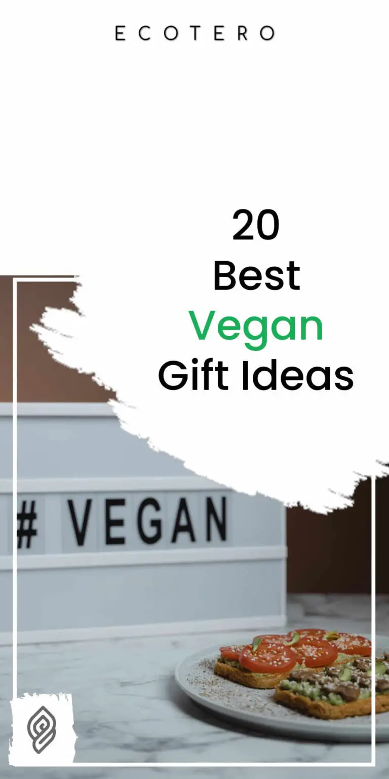 20 Best Gift Ideas for Vegans