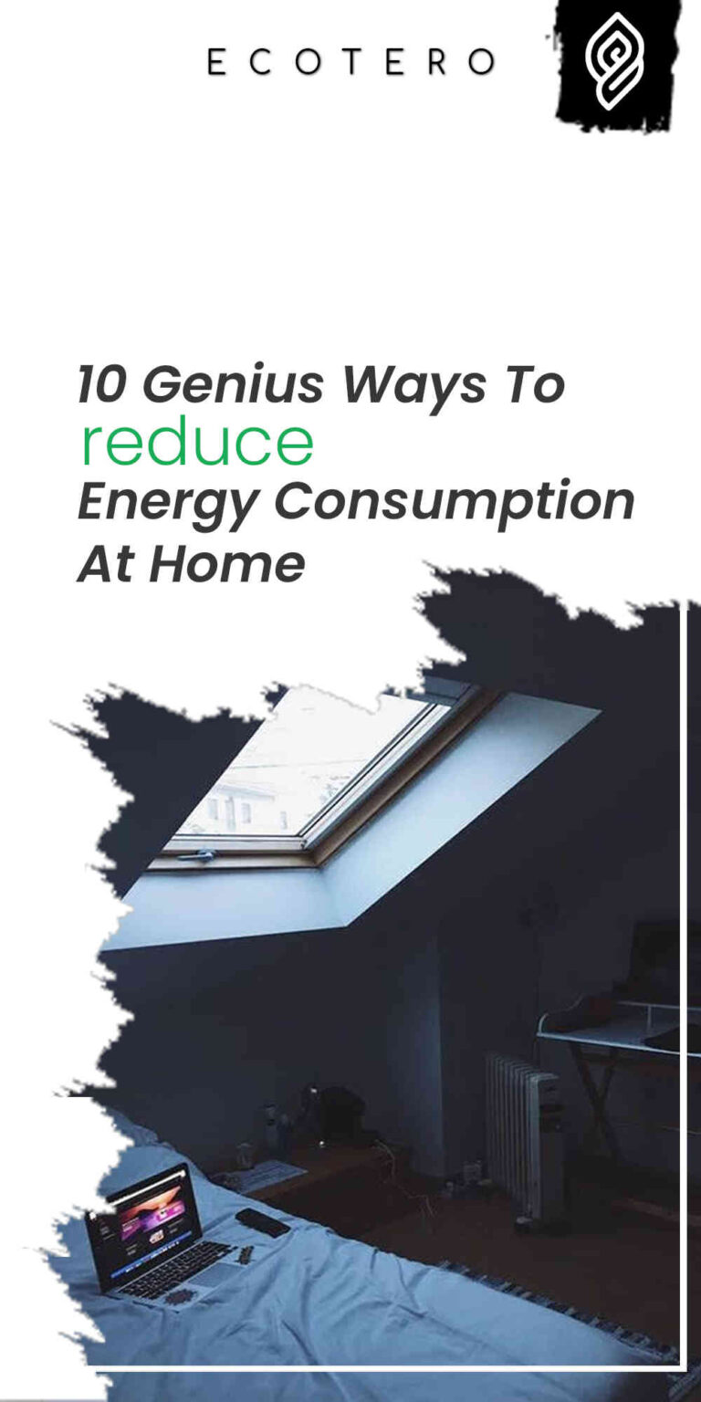 10 Genius Ways To Reduce Energy Consumption At Home