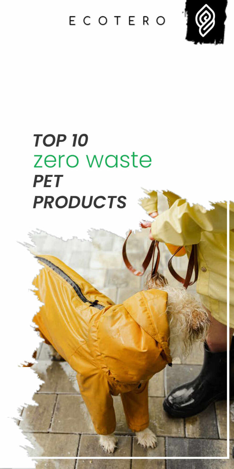 10 Best Zero Waste Pet Products