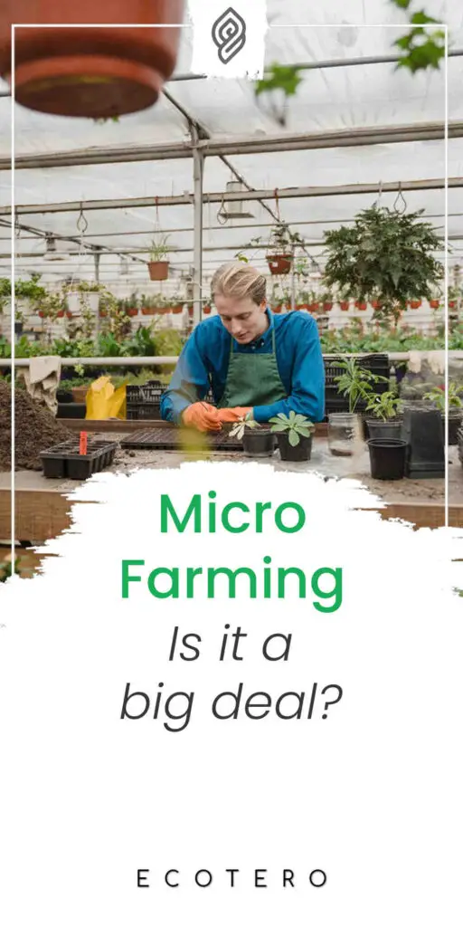 Benefits-Of-Micro-Farming
