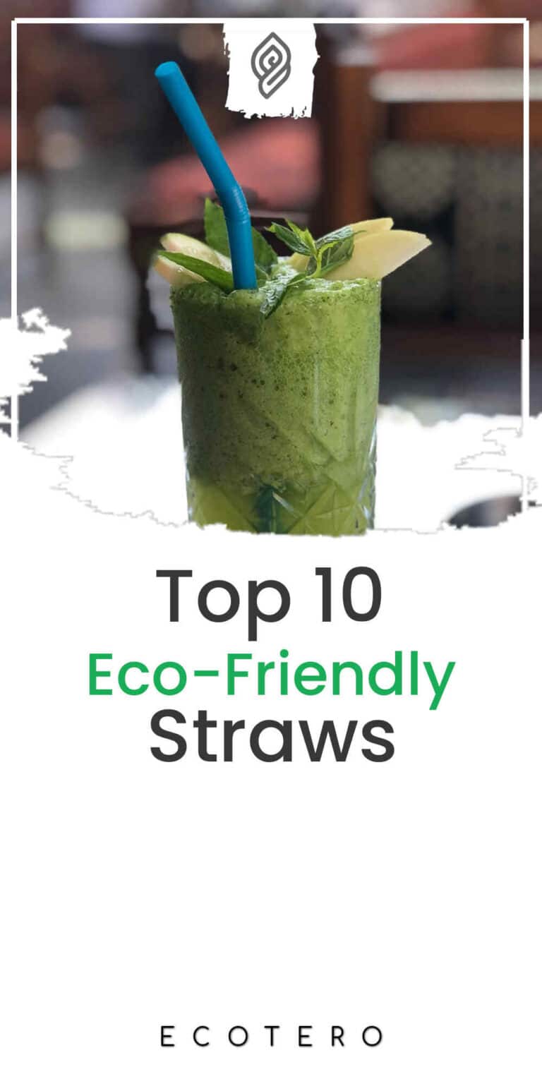 10 Most Eco-Friendly Straws & Why They’re Huge Eco Trends