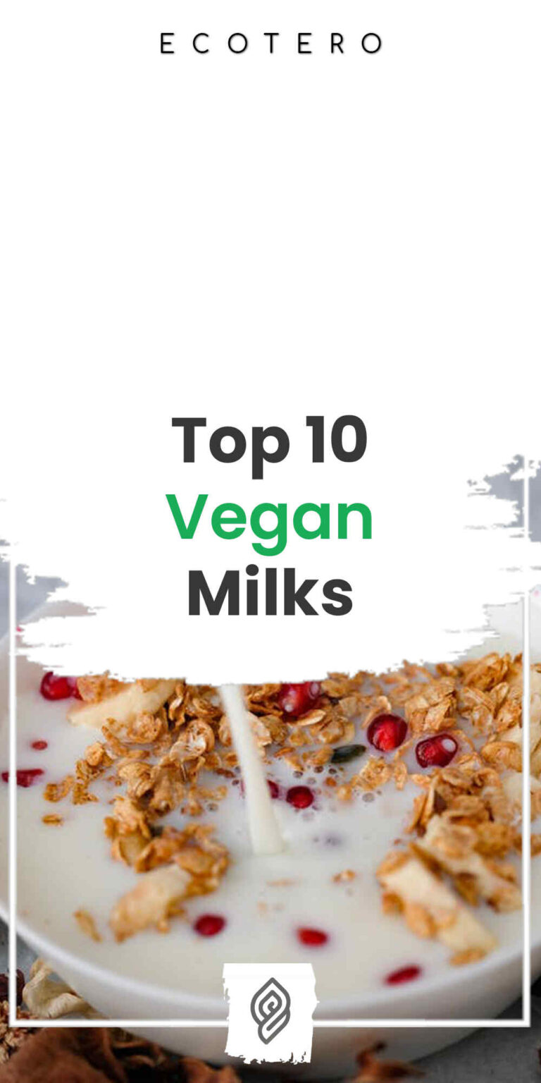 10 Best Vegan Milk: Non-Dairy Milk Alternatives