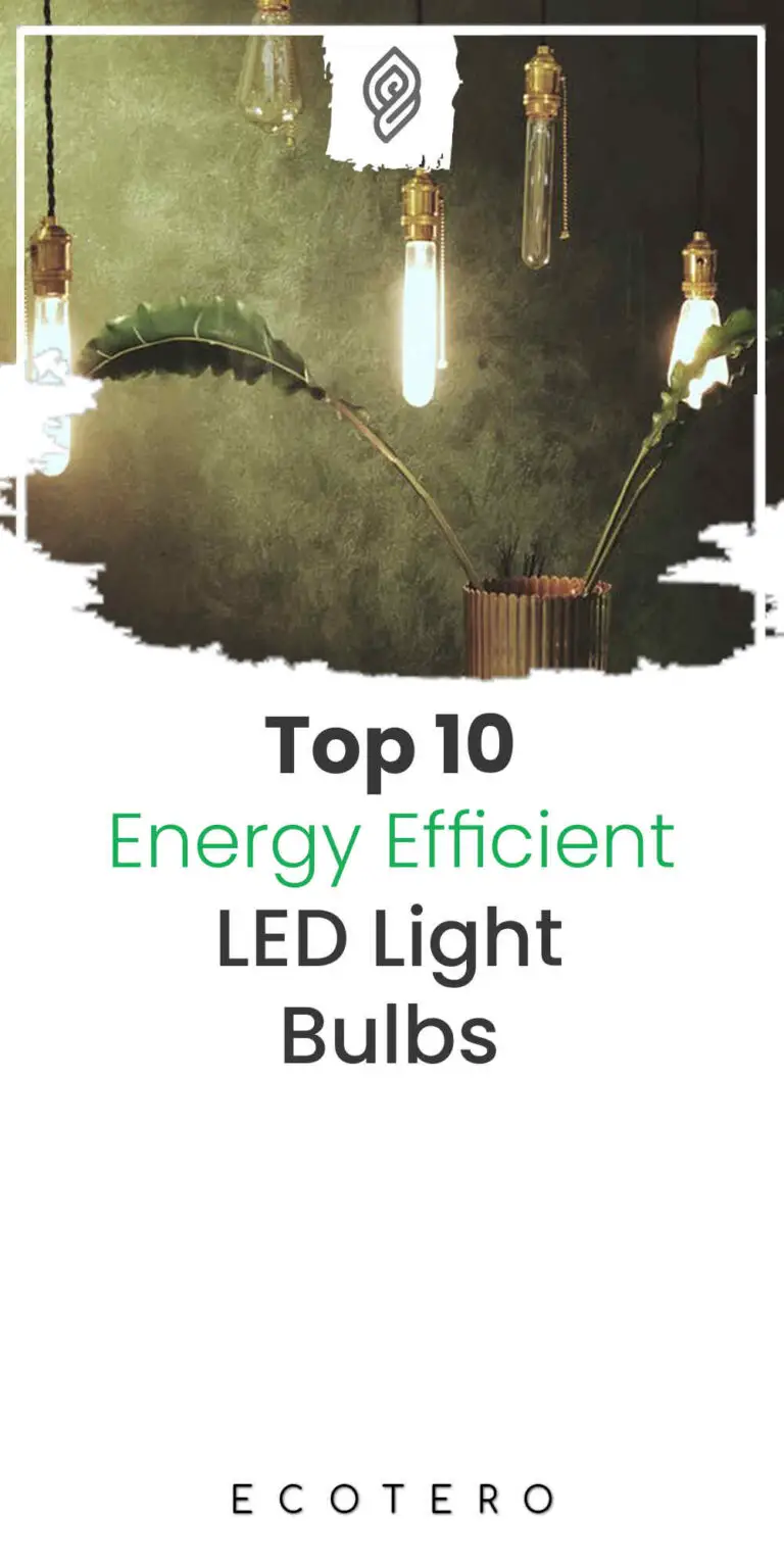 Which Is The Best LED Light Bulbs: Complete Buyer’s Guide