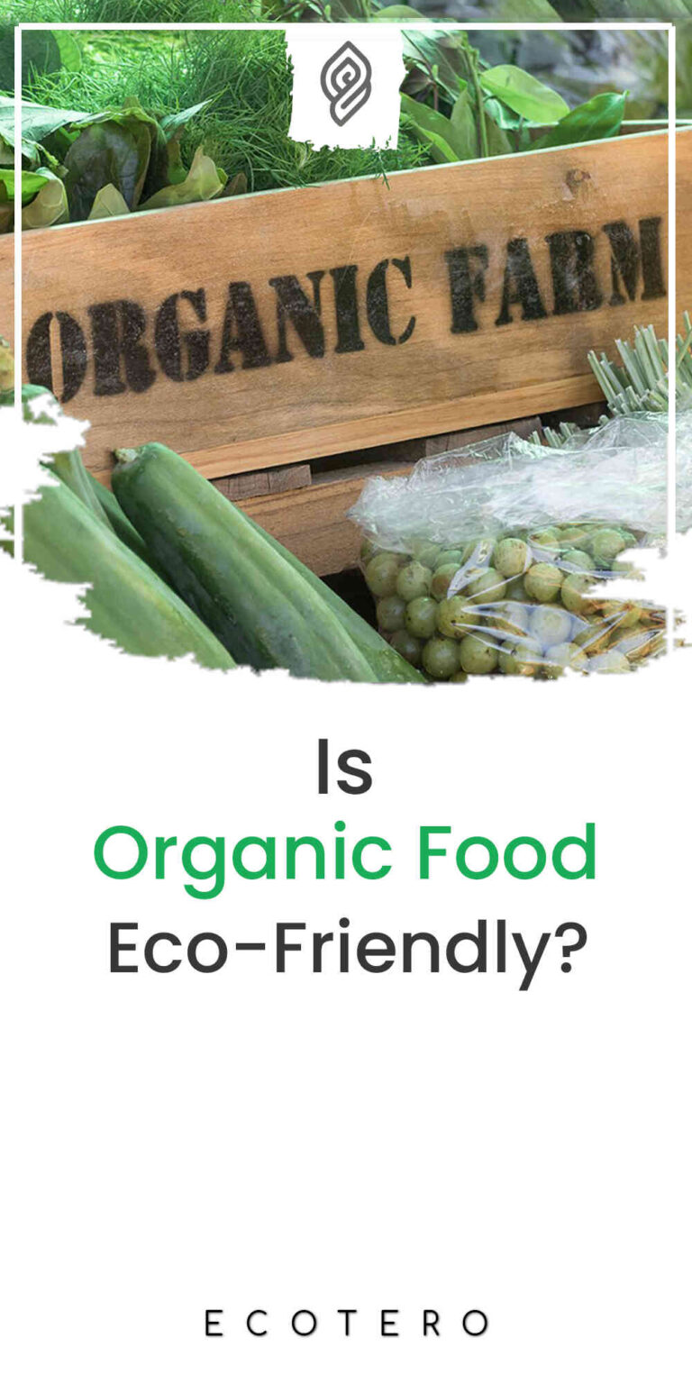 Is Organic Food Better For The Environment? Facts Revealed!